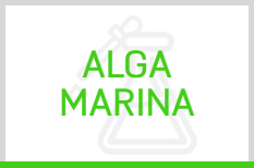 ALGA MARINA